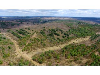 Property photo 41 - LAND AUCTION - 2,596+/- ACRES IN 28 TRACTS IN COSHOCTON & MUSKINGUM COUNTIES, OHIO